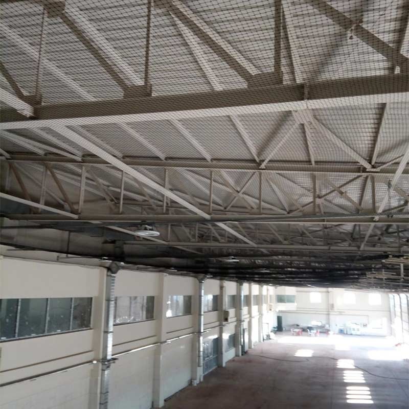 Our Work - Project 2